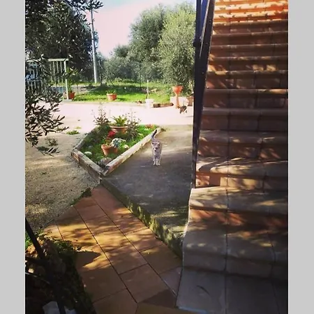 La Di Campagna * Pisticci